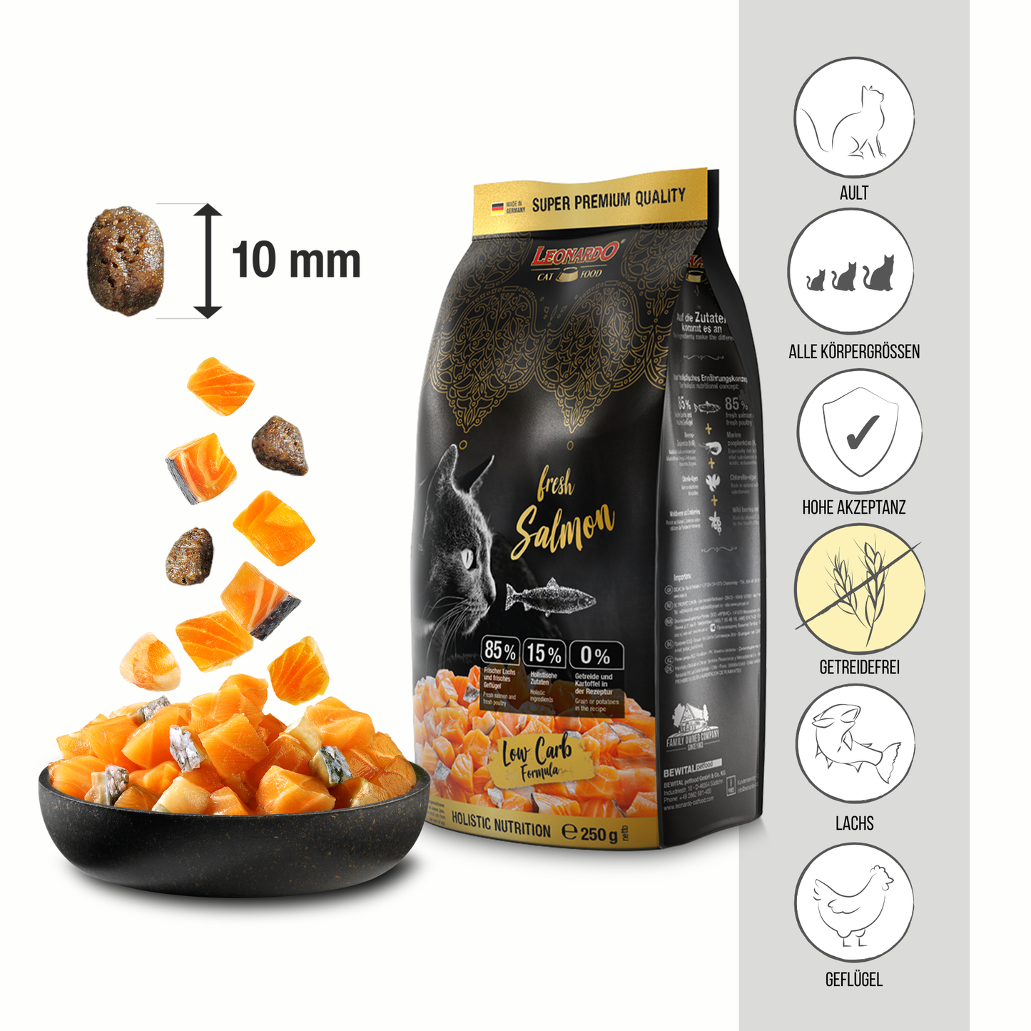 LEONARDO fresh Salmon