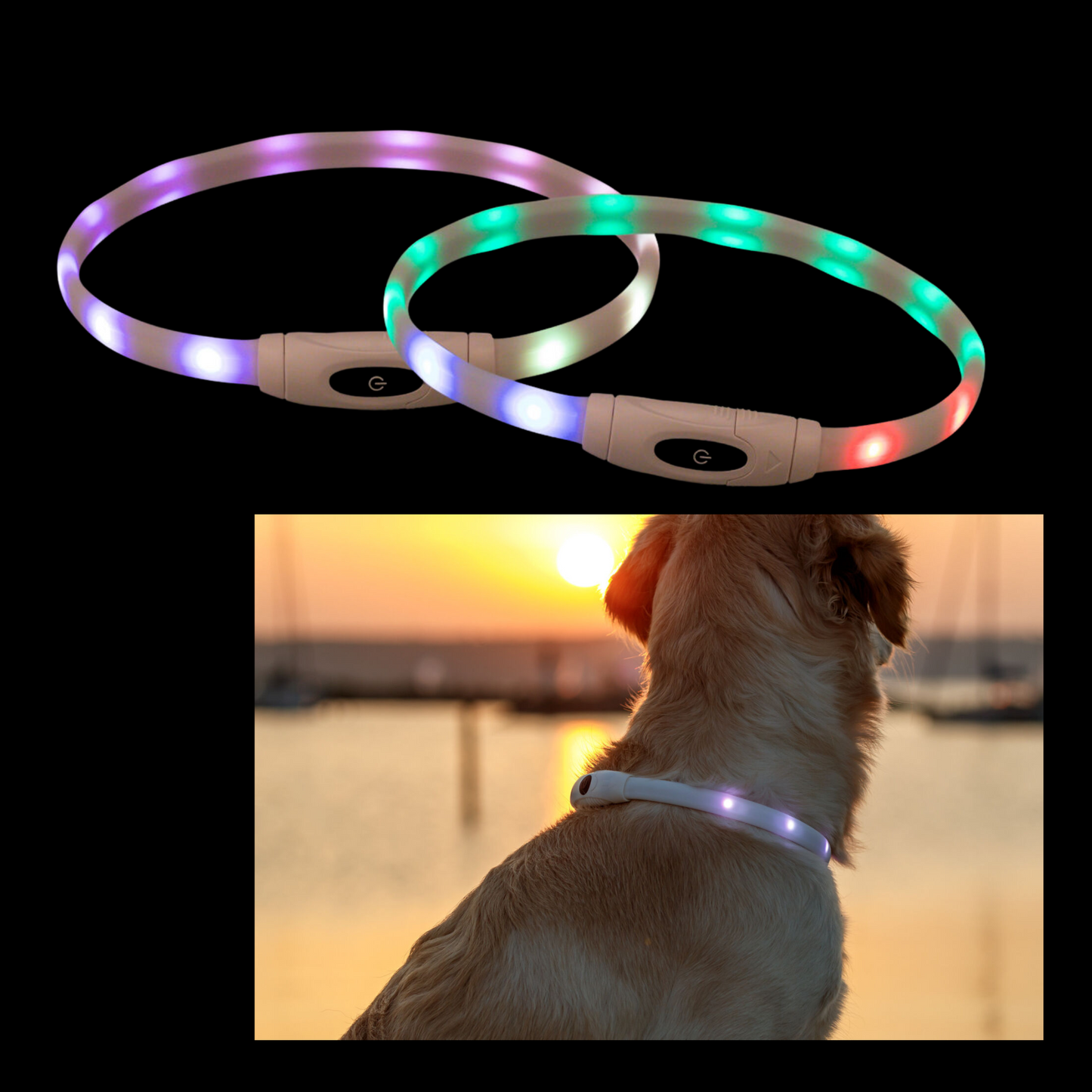 Leucht Halsband
