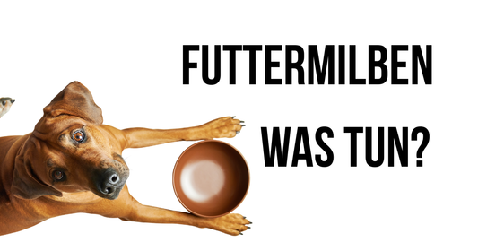 Futtermilben was tun?