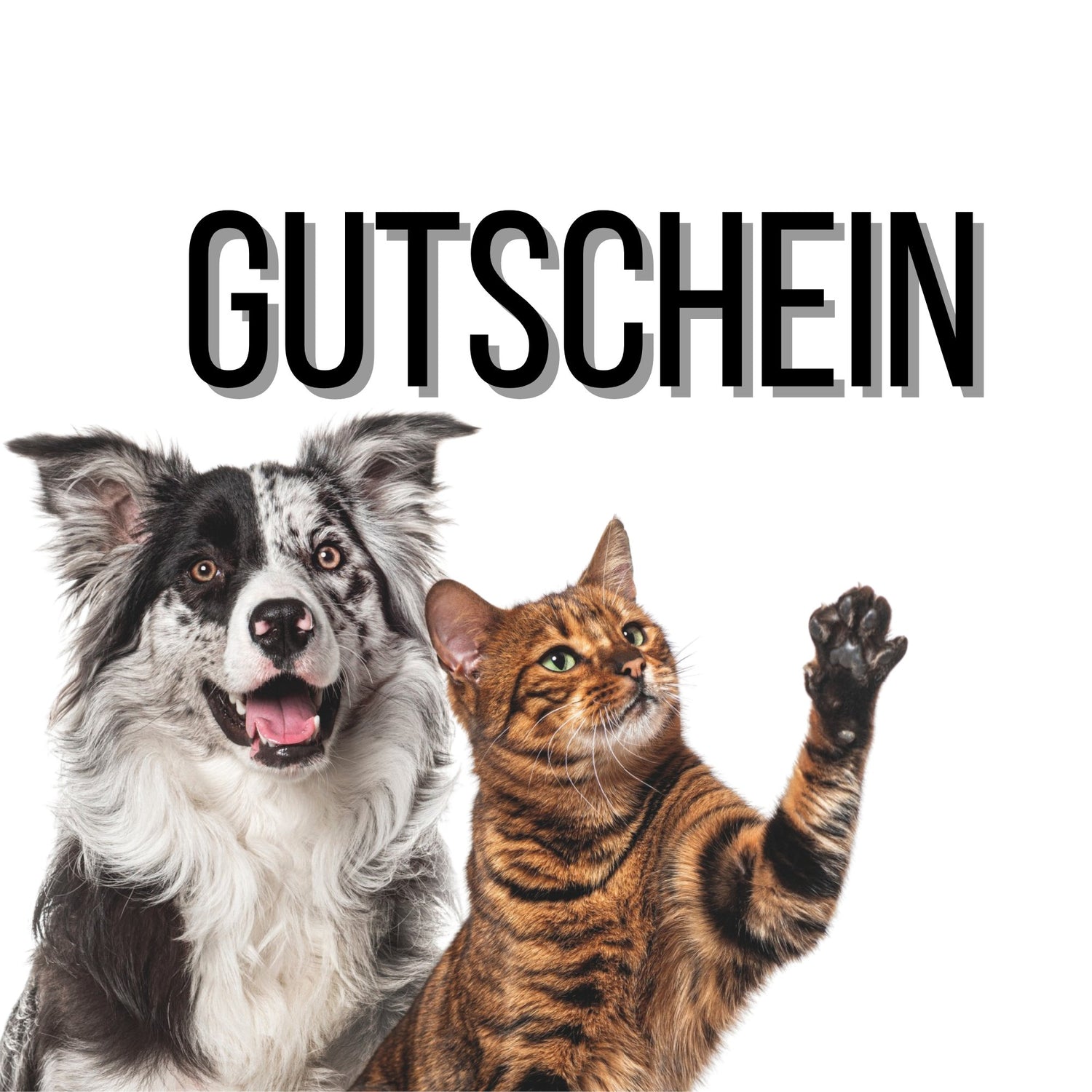 Gutscheine