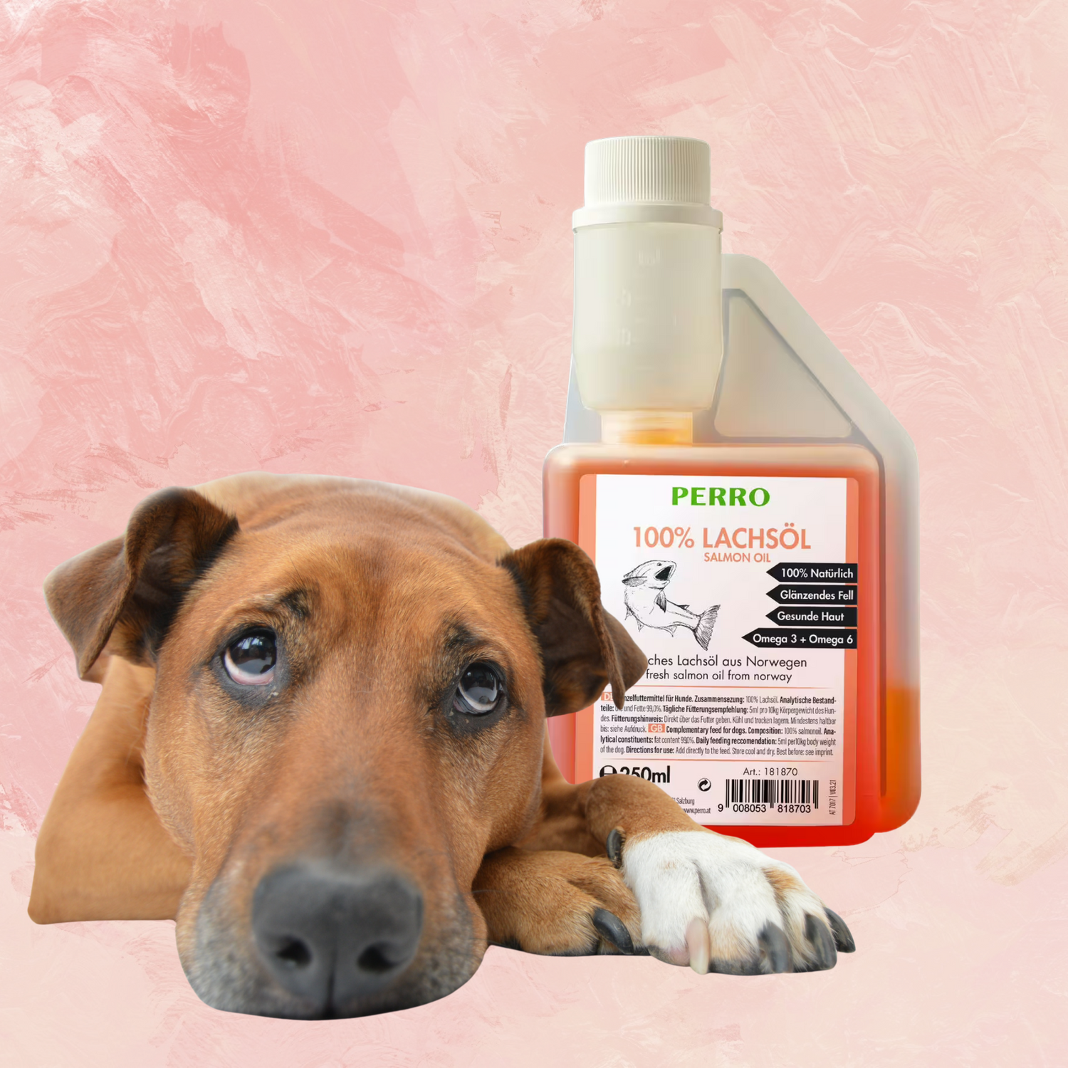 Nahrungsergänzung für Hunde