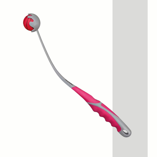 Ballschleuder