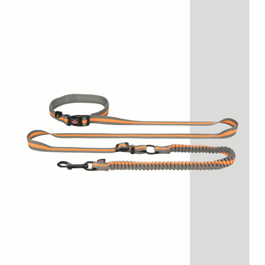 Joggingleine mit Dämpfer