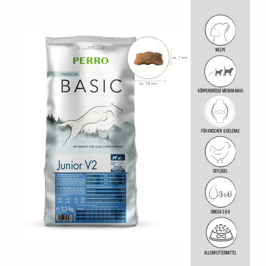 PERRO Basic Junior V2