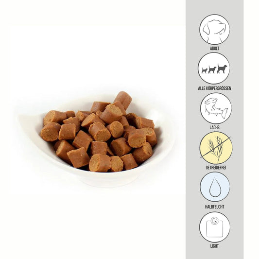 PERRO Kartoffel Softies Lachs