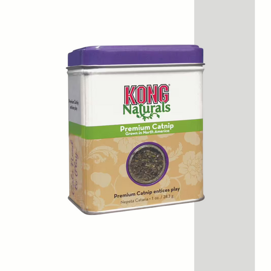 Kong Katzenminze