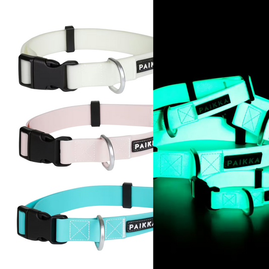 Paikka Halsband "Glow"