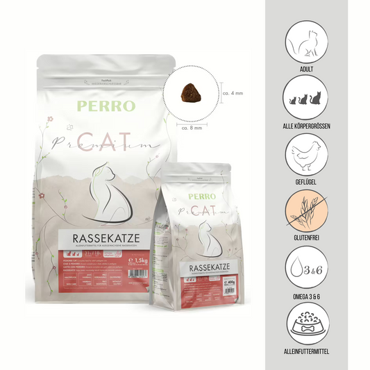 PERRO Cat Premium Rassekatze