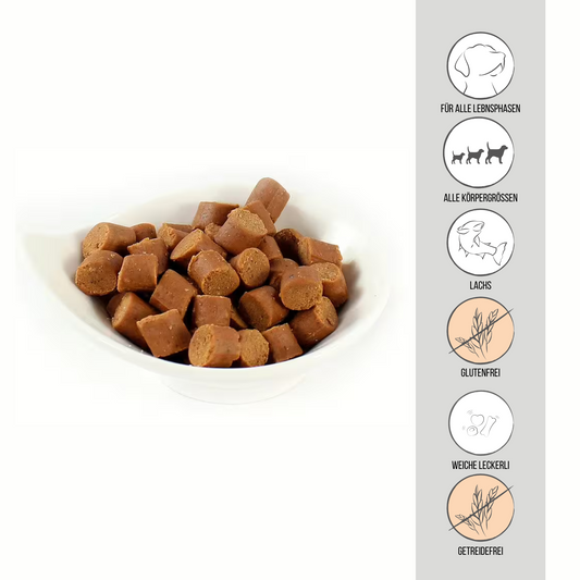 PERRO Fleisch Softies Lachs