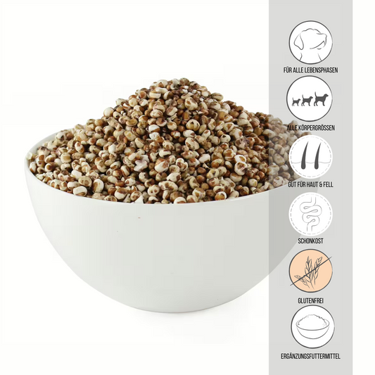 PERRO Sorghum Hirse gepoppt