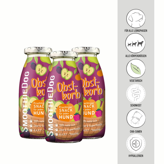 SmoothieDog Obstkorb